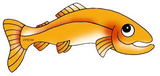 salmon