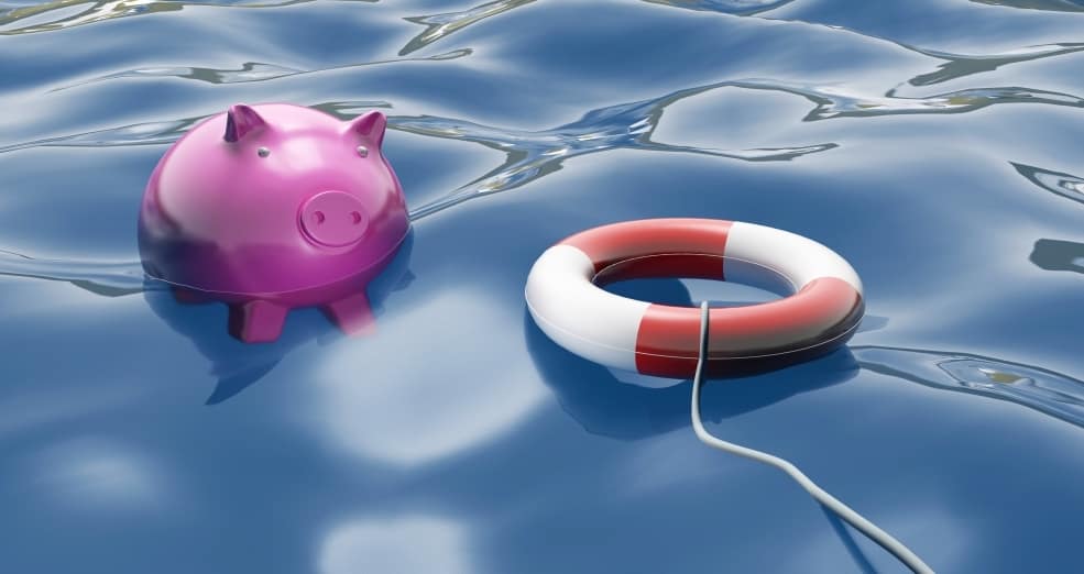 Piggy With Lifebuoy Showing Lifesaver And Investment