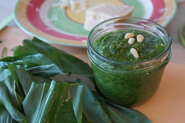 bears-garlic-748542_640