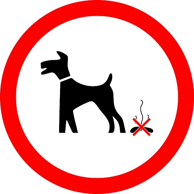 dog-155983_640