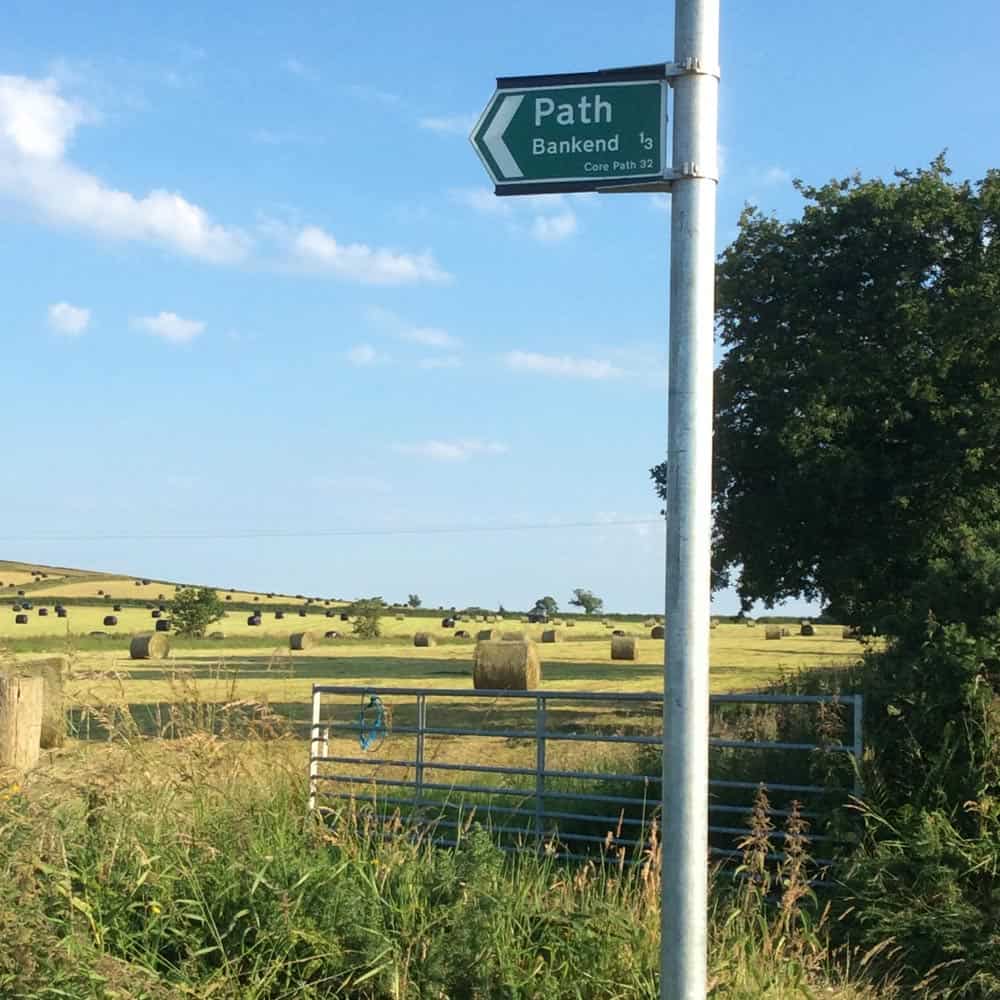 Path-1