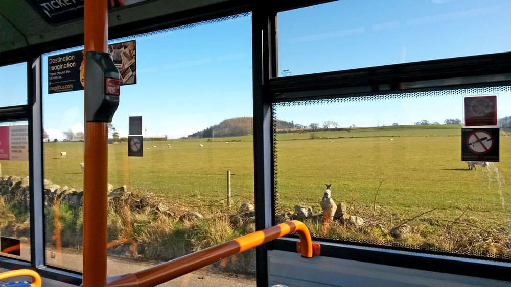 bus4