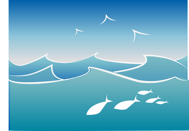 ocean-1221243_640