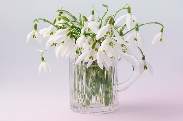 flowers-1230907_640