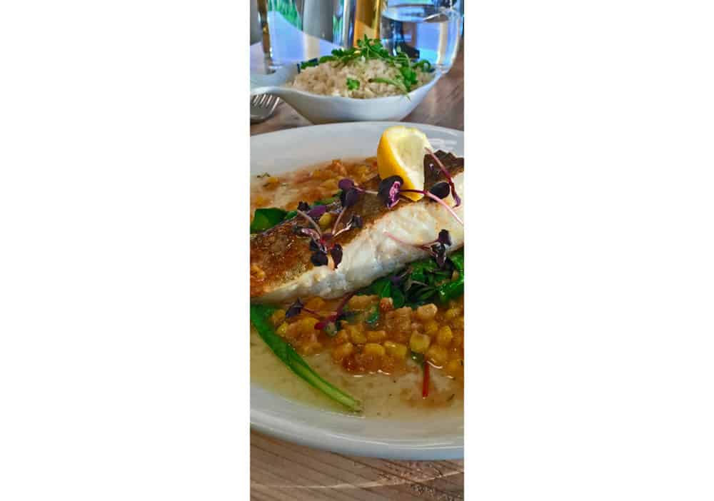 A slice of Cod, Main menu, Boathouse, Glencaple